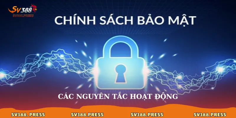 Các nguyên tắc hoạt động