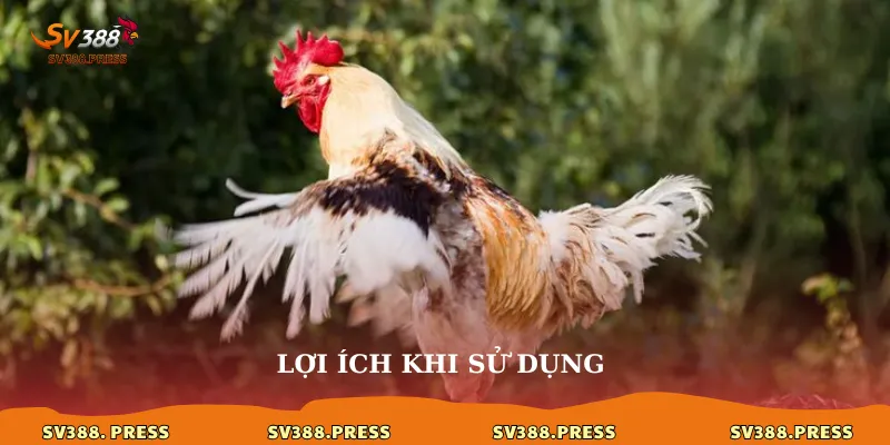 Lợi ích khi sử dụng 