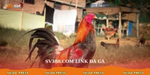 Sv388.com link da ga