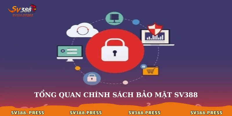 Tổng quan chính sách bảo mật sv388
