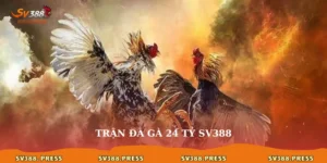 tran-da-ga-24-ty-sv388